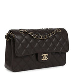 Chanel Small Classic Double Flap Bag Brown Shiny Caviar Light Gold Hardware