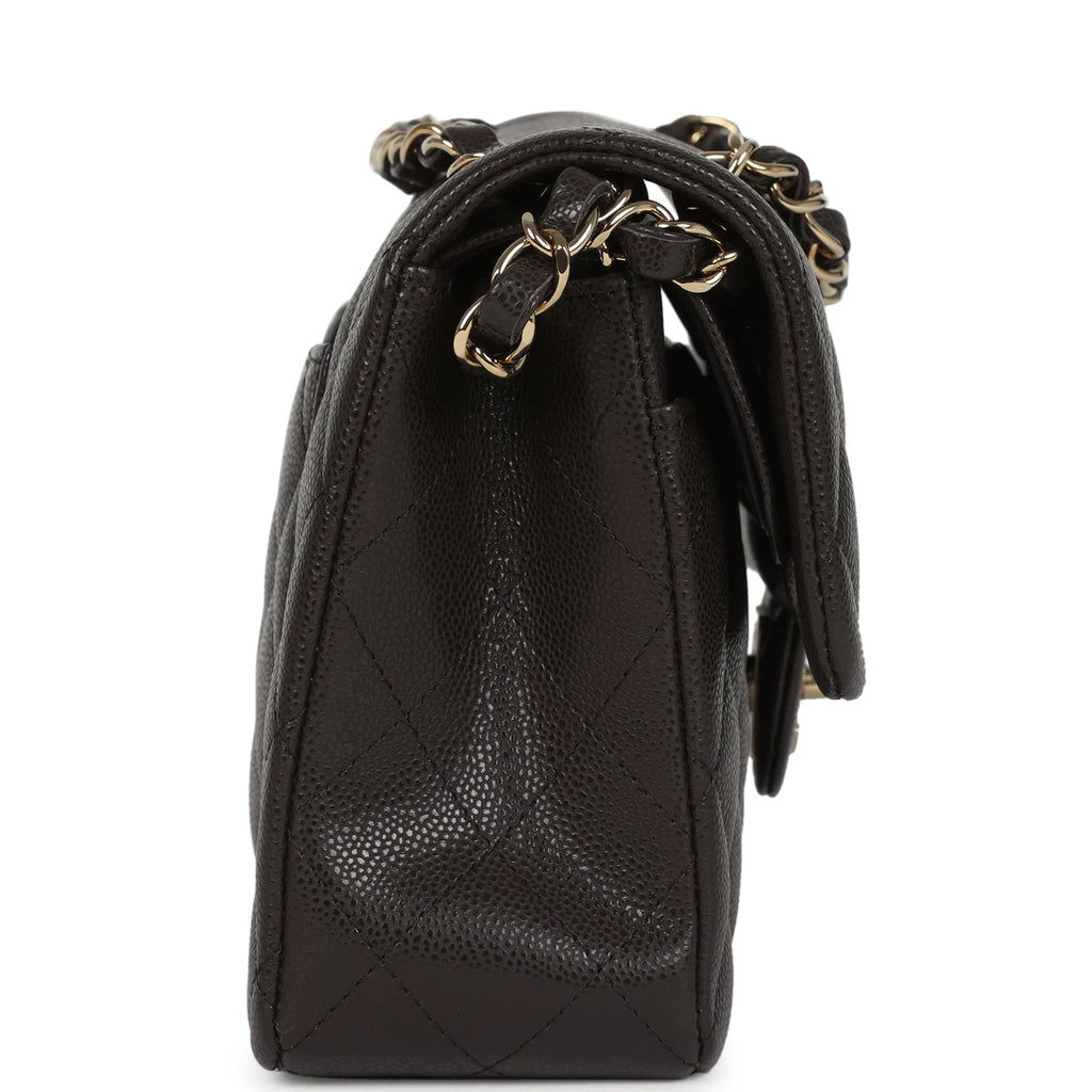 Chanel Small Classic Double Flap Bag Brown Shiny Caviar Light Gold Hardware