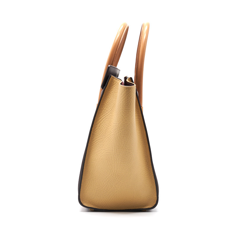 Celine Mini Luggage Handbag