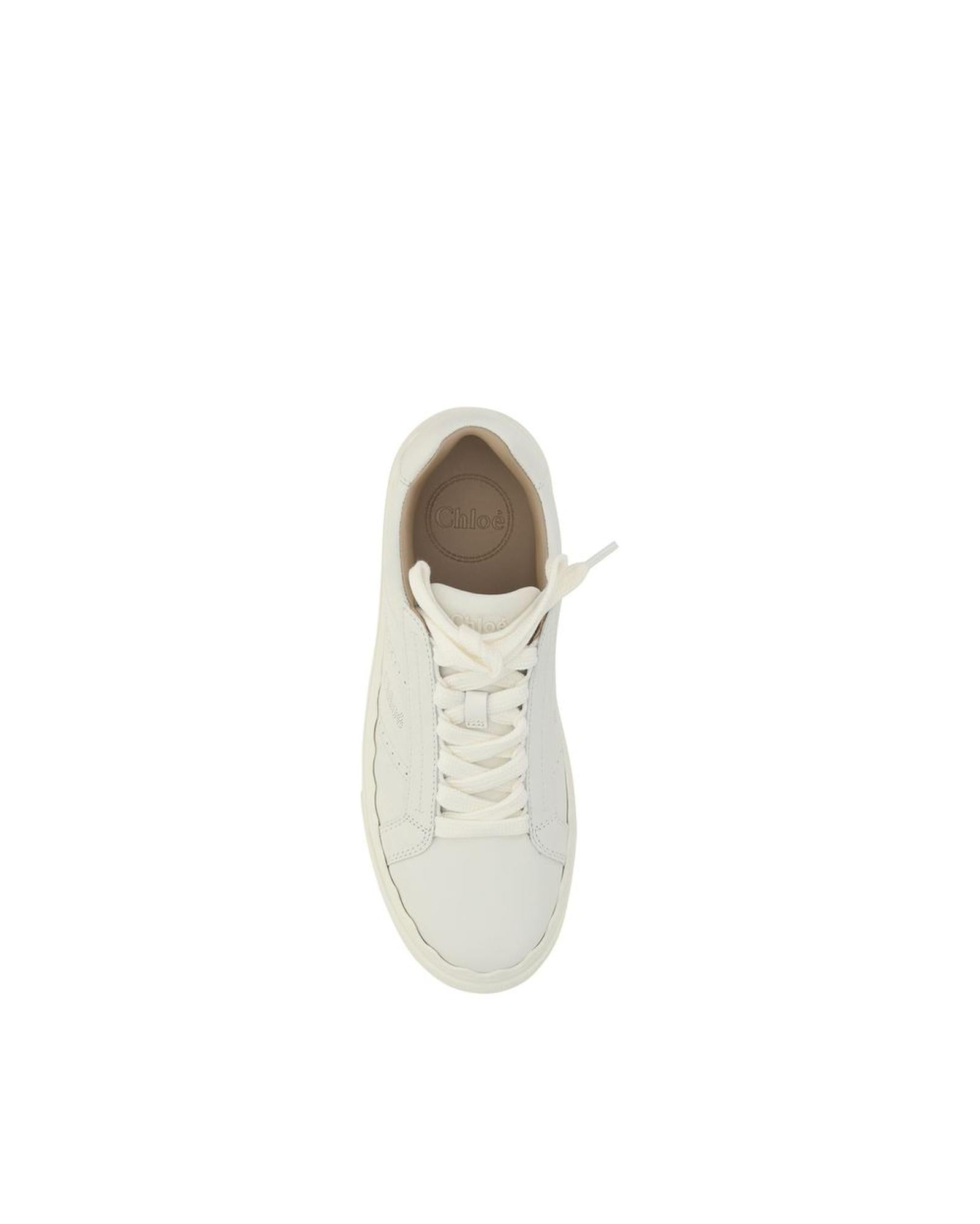 Chloe Lauren Sneakers White Leather Women