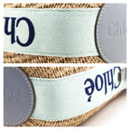 Chloe Blue-Green Natural Woven Fiber Small Woody Basket Bag