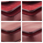 Chloe Plum Leather & Suede Medium Roy Shoulder Bag