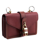 Chloe Sepia Brown Shiny Goatskin & Calfskin Aby Chain Shoulder Bag