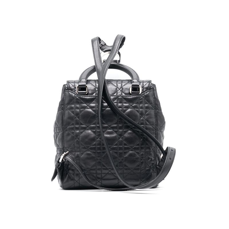 Dior Mini Backpack