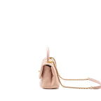Chanel Small Coco Handle Python Light Pink GHW
