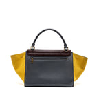 Celine Trapeze Bag Multicoloured
