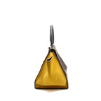 Celine Trapeze Bag Multicoloured