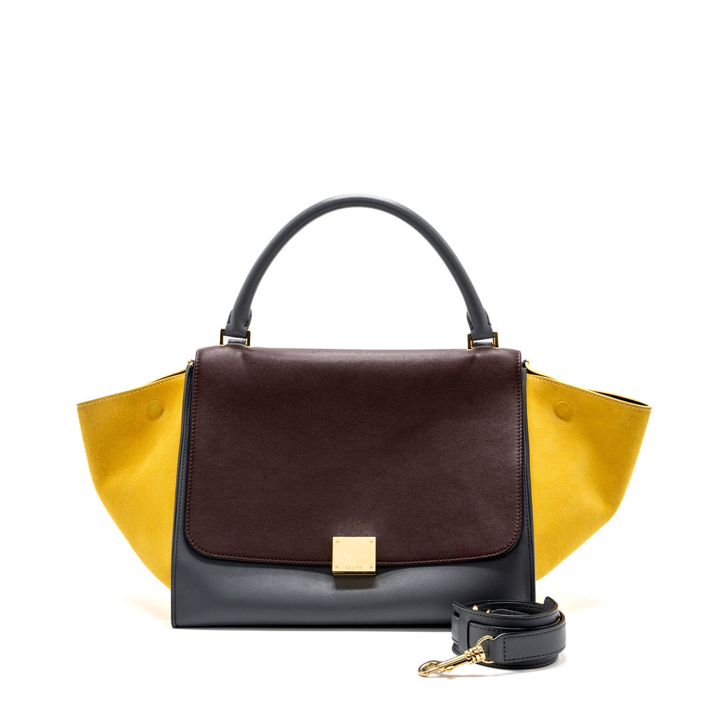 Celine Trapeze Bag Multicoloured