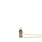 Celine MARGO wallet on chain Triomphe canvas / calfskin Grege