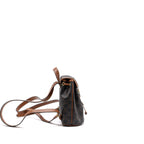 Celine Mini Backpack Folco Triomphe Canvas Calfskin Tan