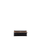 Celine Wallet On Strap Triomphe Canvas/Smooth Lambskin Tan