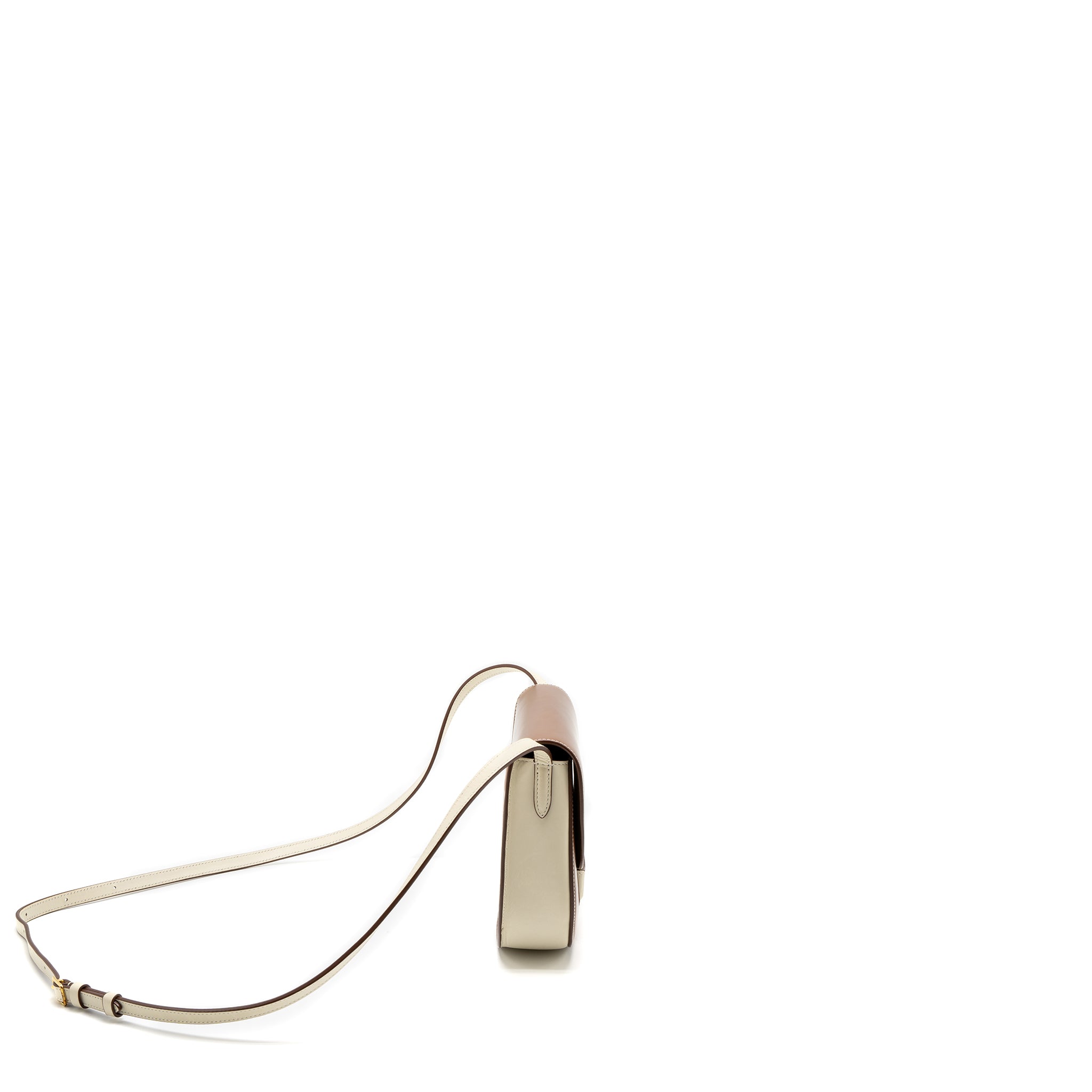 Celine Small Trotteur Bag Calfskin Brown/Multicolour