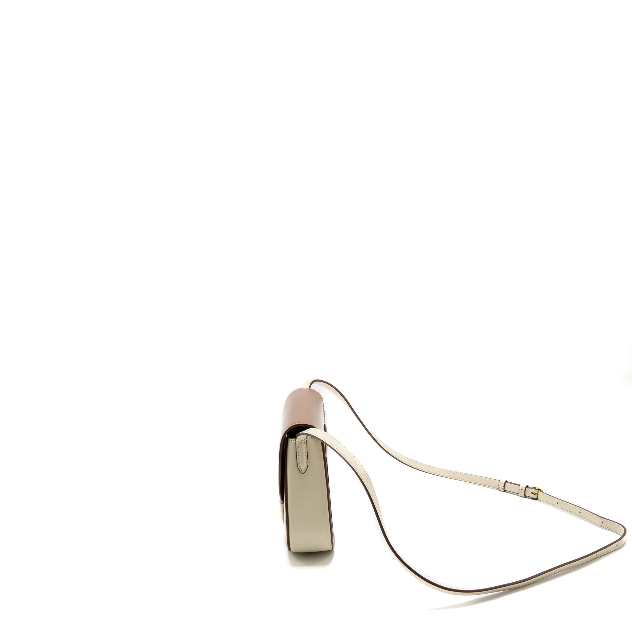 Celine Small Trotteur Bag Calfskin Brown/Multicolour