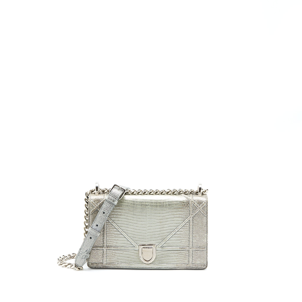 Dior Small Diorama Lizard Metallic Silver SHW