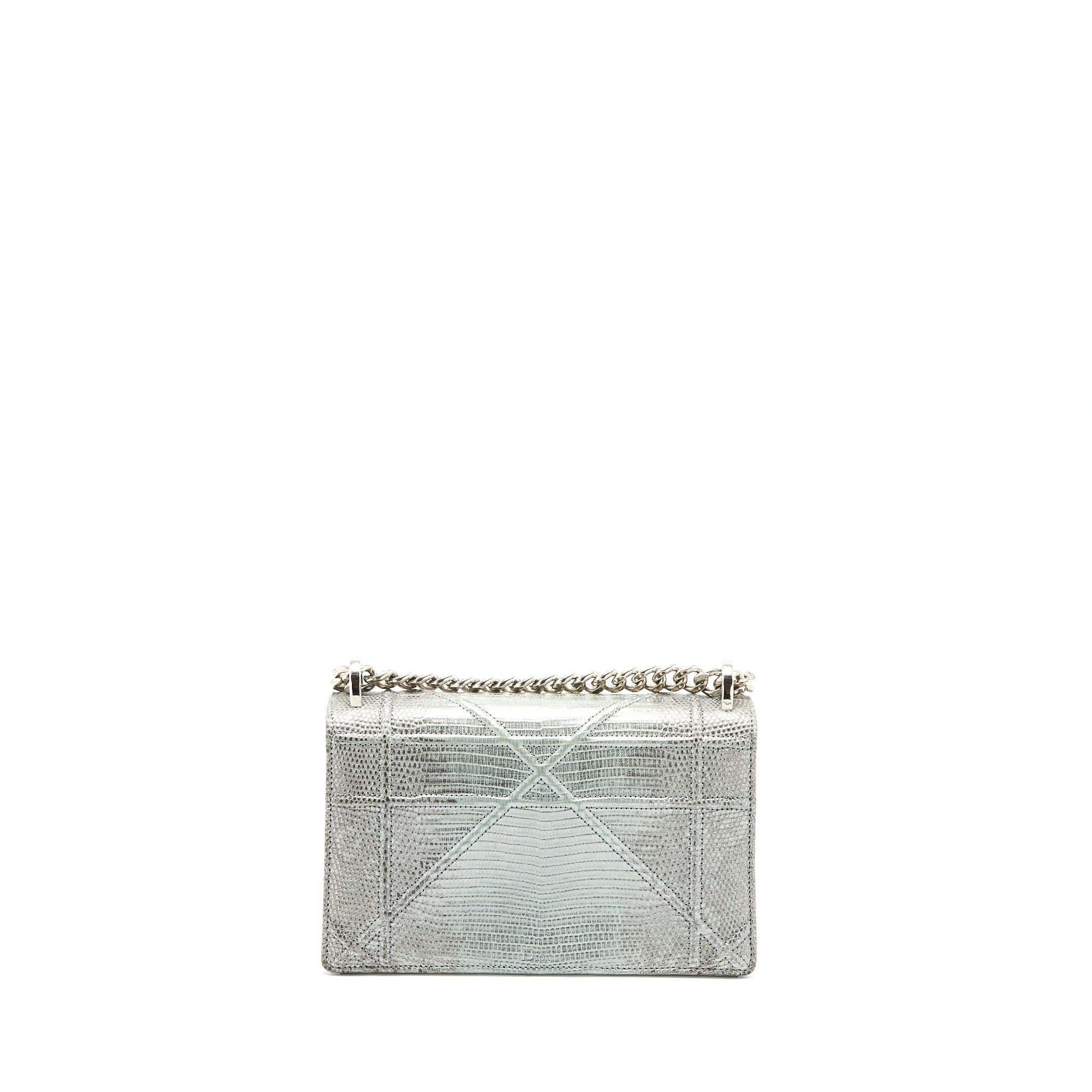 Dior Small Diorama Lizard Metallic Silver SHW