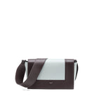 Celine Frame Bag Calfskin Multicolour Ruthenium Hardware