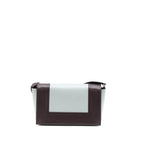 Celine Frame Bag Calfskin Multicolour Ruthenium Hardware