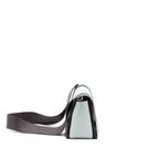 Celine Frame Bag Calfskin Multicolour Ruthenium Hardware