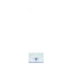 Chanel 21K Ombre Iridescent Small Card Holder with Mermaid Hardware