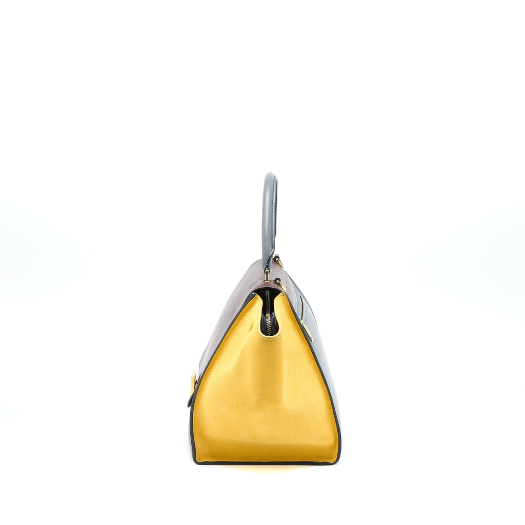 Celine Trapeze Bag Multicoloured