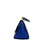 Celine Trapeze Bag Multicolour