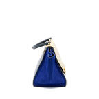 Celine Trapeze Bag Multicolour