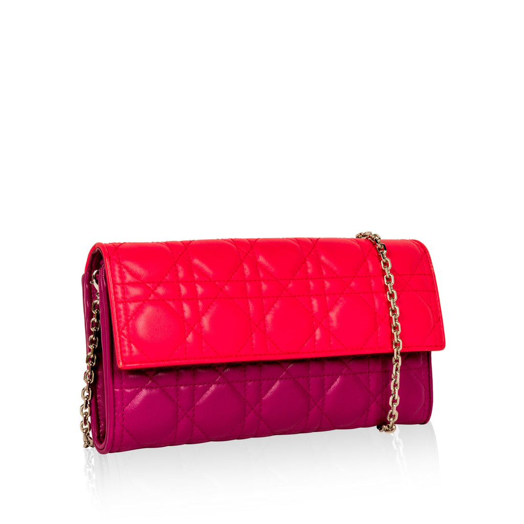 Dior Tri-colour Wallet on Chain