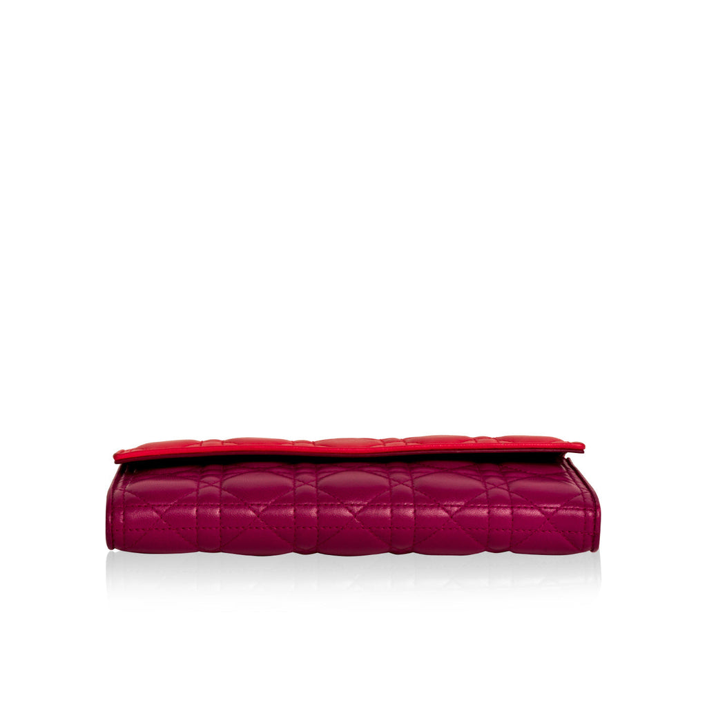 Dior Tri-colour Wallet on Chain