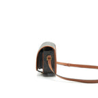 Celine Floco Bag in Triomphe Canvas