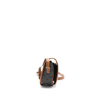 Celine Folco Medium Triomphe Canvas Bag