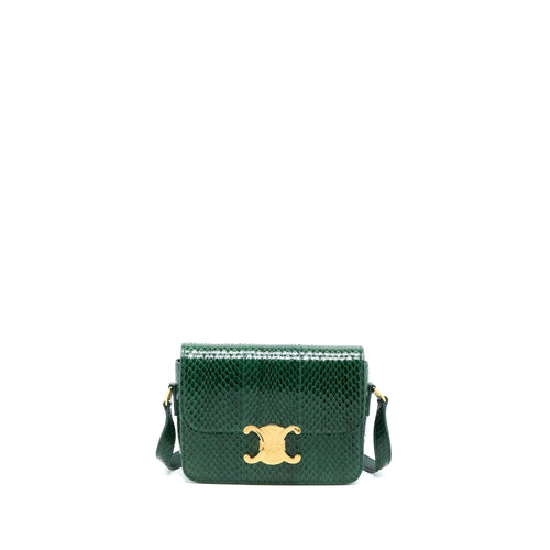 Celine Triomphe Bag Water Snake Leather Green