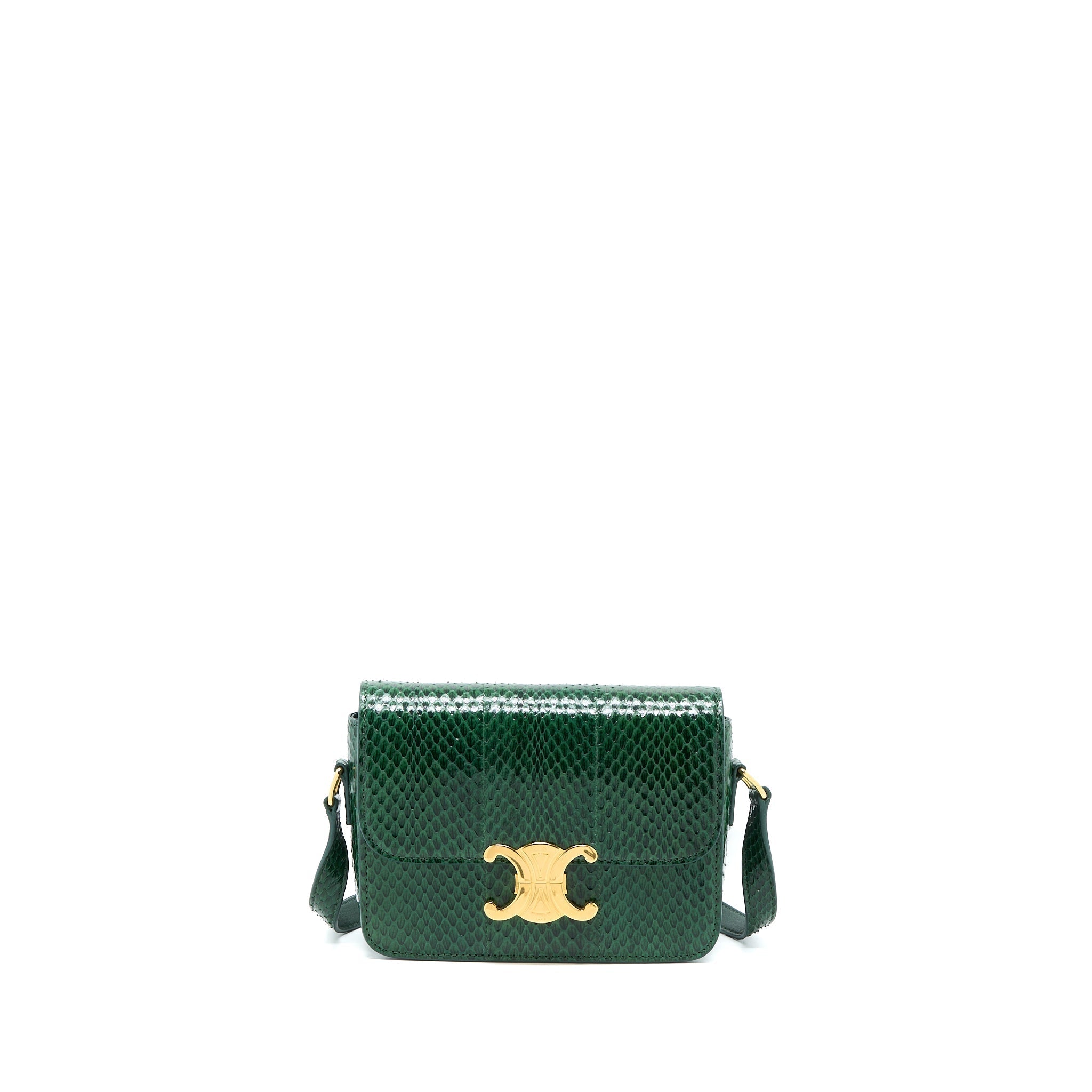 Celine Triomphe Bag Water Snake Leather Green