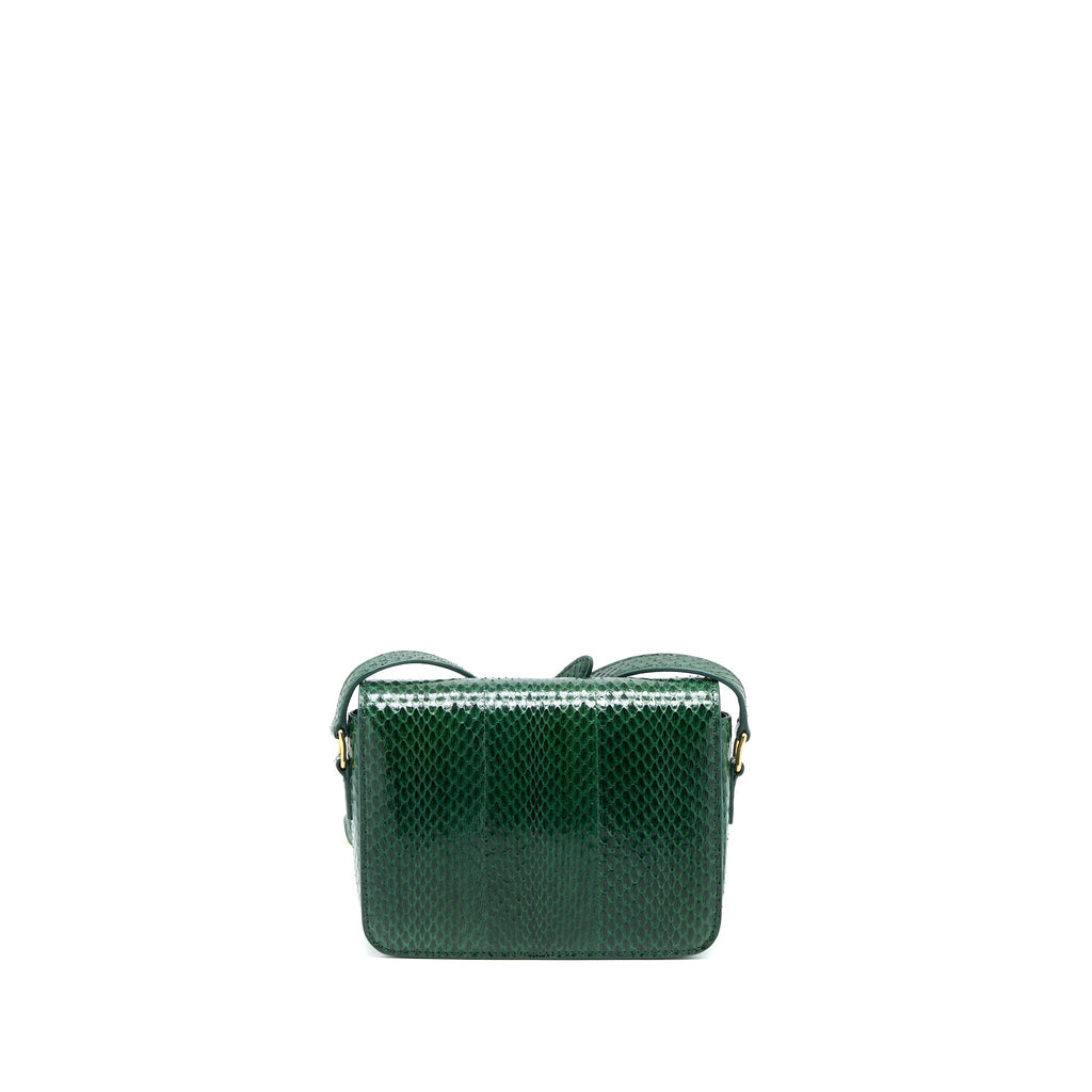 Celine Triomphe Bag Water Snake Leather Green