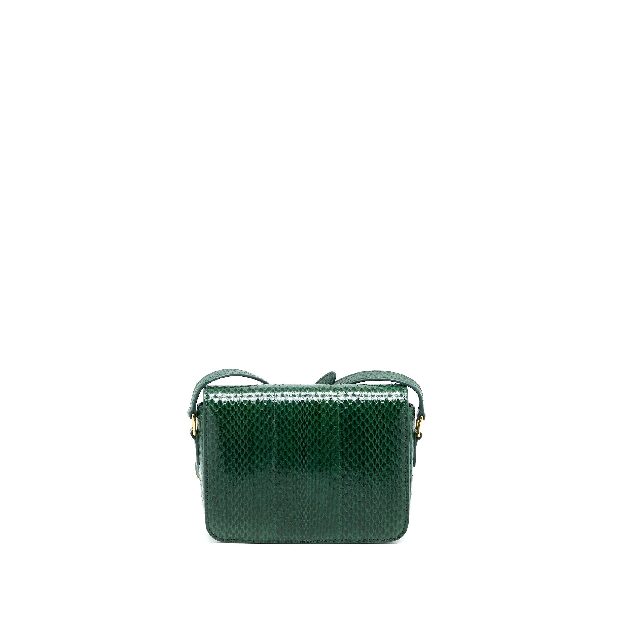 Celine Triomphe Bag Water Snake Leather Green