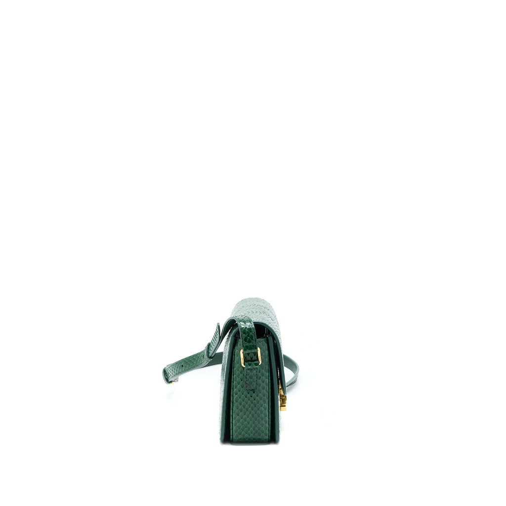 Celine Triomphe Bag Water Snake Leather Green