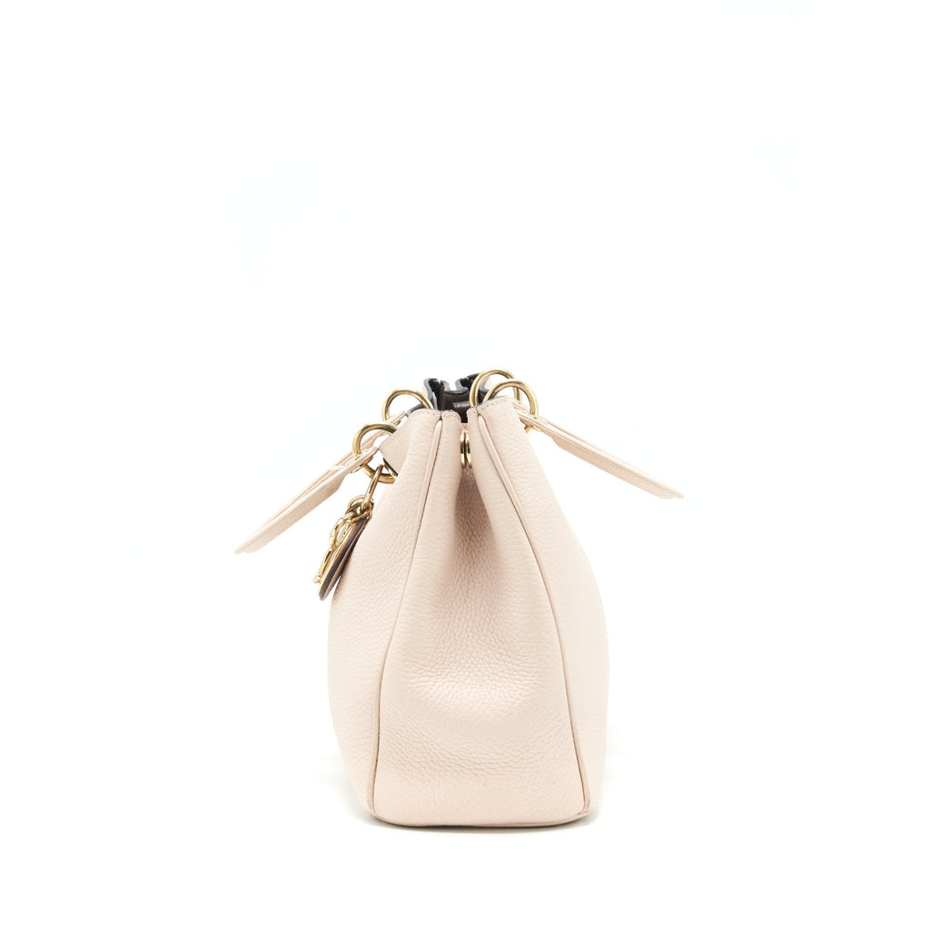 Dior Vip Diorissimo Tote Bag Grained Calfskin Beige GHW