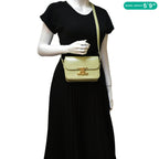 CELINE Teen Triomphe Leather Shoulder Bag Almond Green
