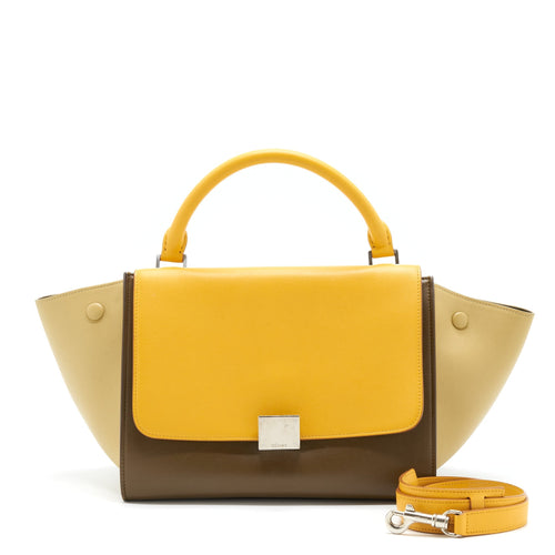 Celine Trapeze Bag Multicolour