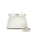Fendi Transparent Peekaboo Bag Special Edition