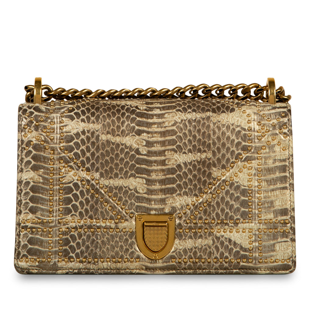 Dior Small Studded Diorama - Python