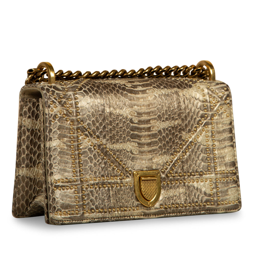 Dior Small Studded Diorama - Python