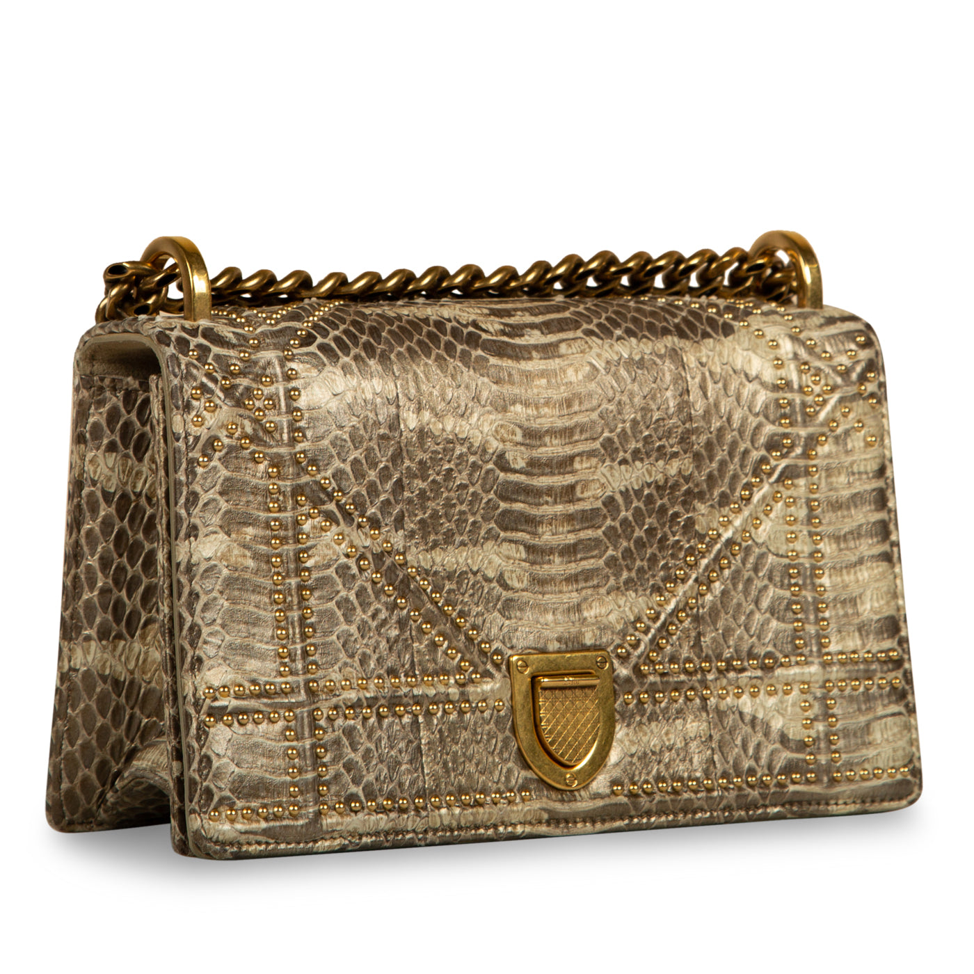 Dior Small Studded Diorama - Python