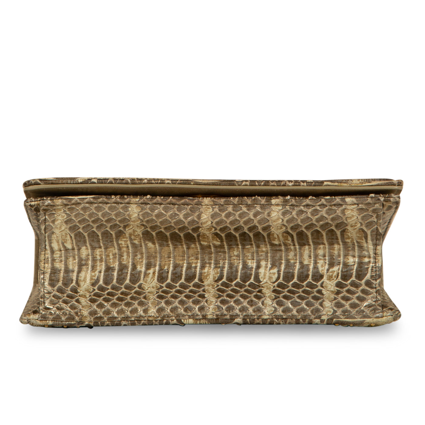 Dior Small Studded Diorama - Python