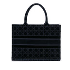 Dior Medium Cannage Embroidered Book Tote (SHG-fvzewU)