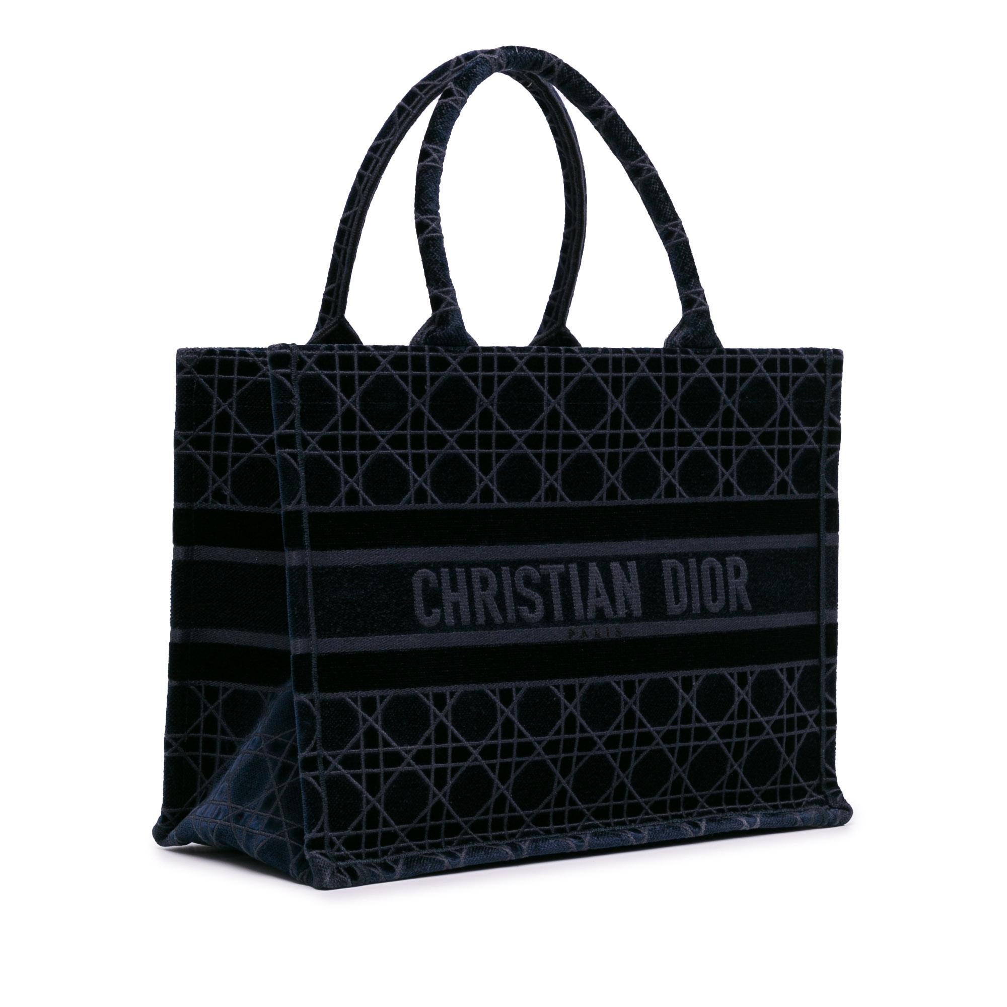 Dior Medium Cannage Embroidered Book Tote (SHG-fvzewU)