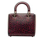 Dior Medium I Love Paris Lady Dior Satchel (SHG-BeTTle)