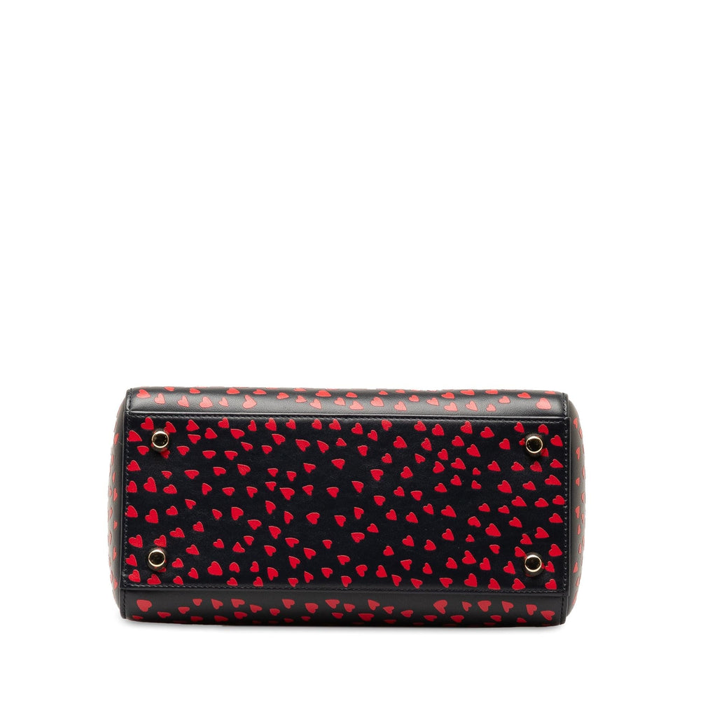 Dior Medium I Love Paris Lady Dior Satchel (SHG-BeTTle)