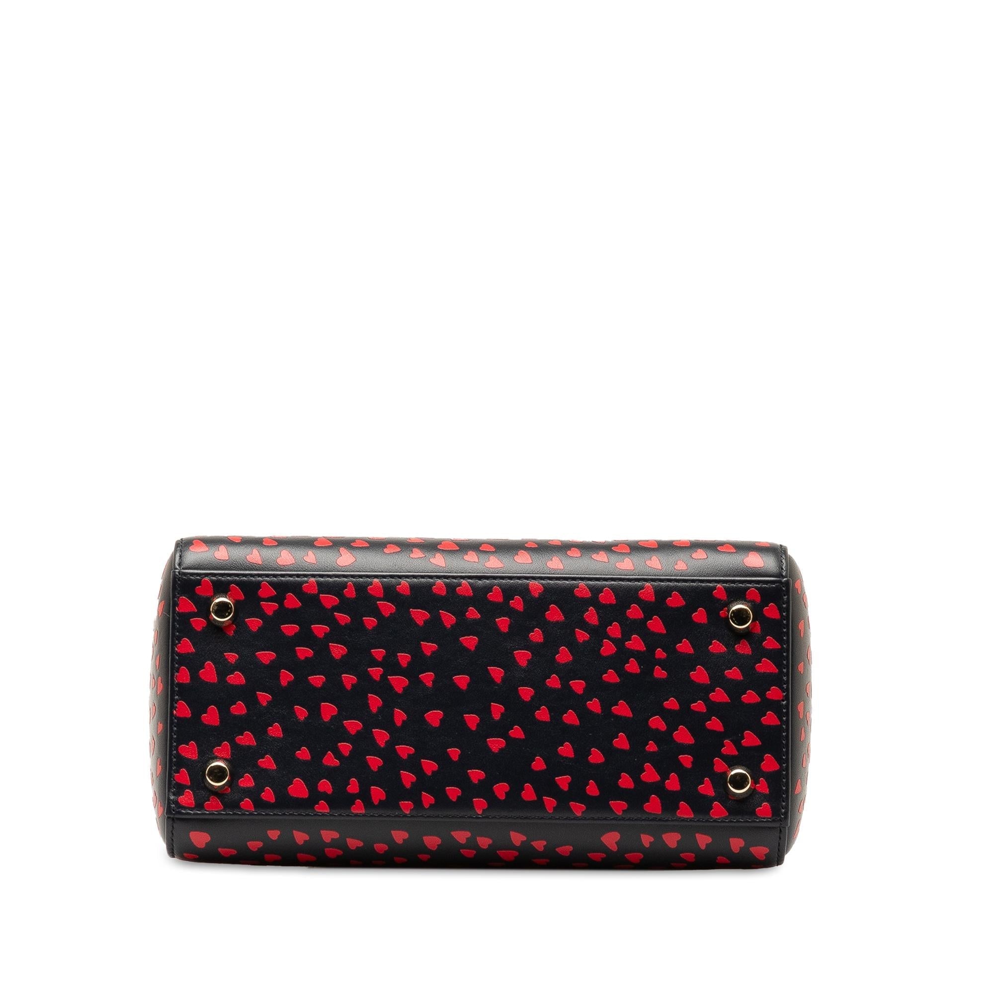 Dior Medium I Love Paris Lady Dior Satchel (SHG-BeTTle)