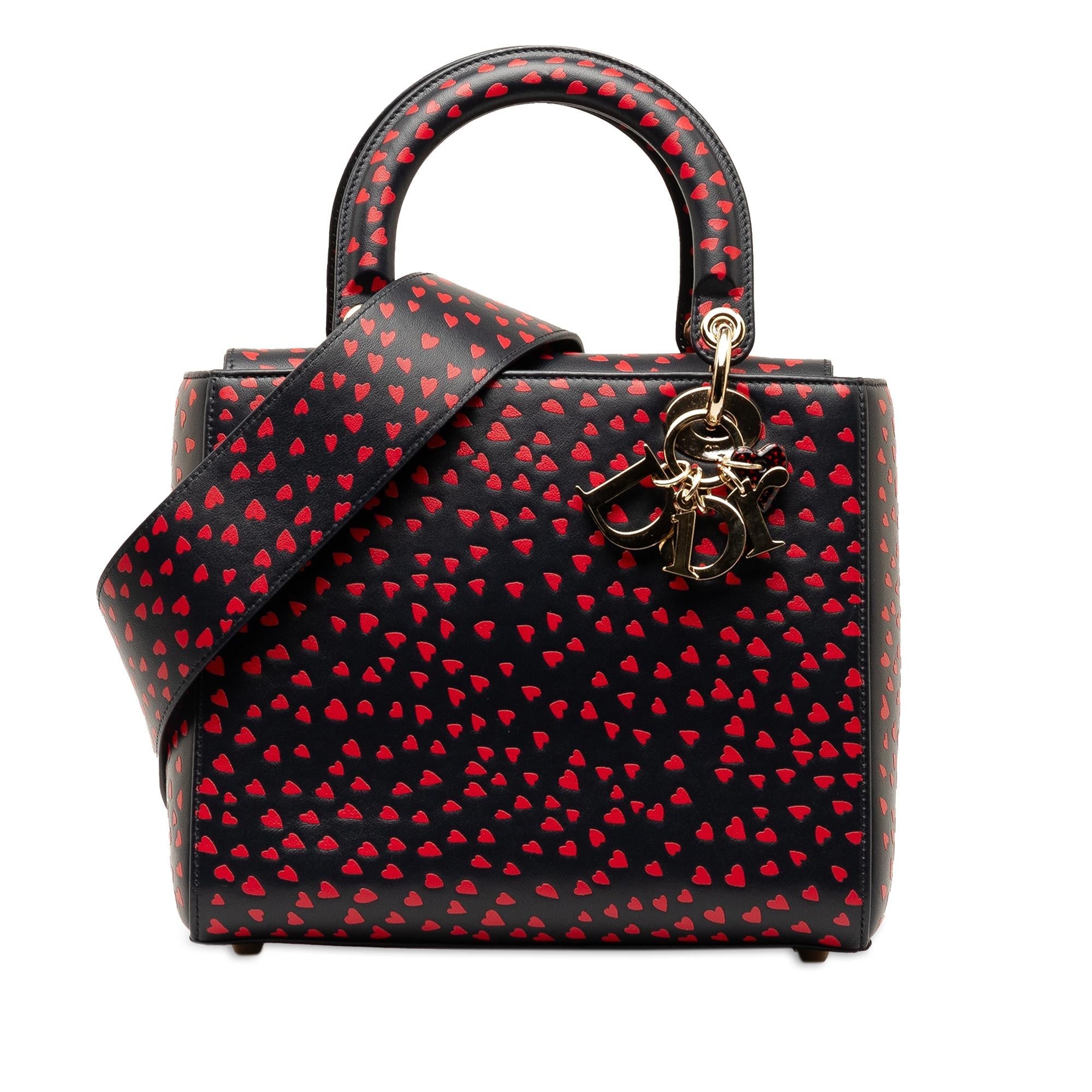 Dior Medium I Love Paris Lady Dior Satchel (SHG-BeTTle)