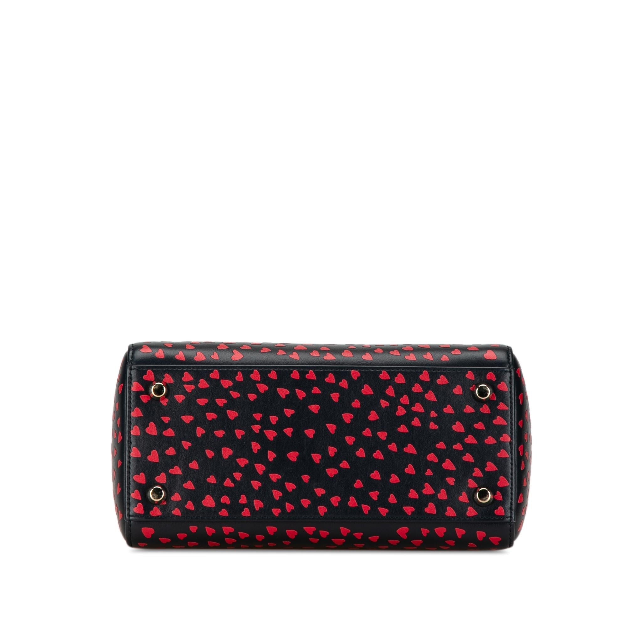 Dior Medium I Love Paris Lady Dior Satchel (SHG-MxNdsU)